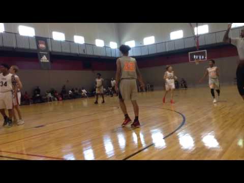 FLORIDA FORCE-PALMETTO CITY HURRICANES