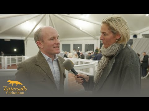 Tattersalls Cheltenham David Maxwell Dispersal Review