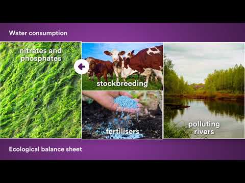 Ecology and food economy - Ecological balance sheet