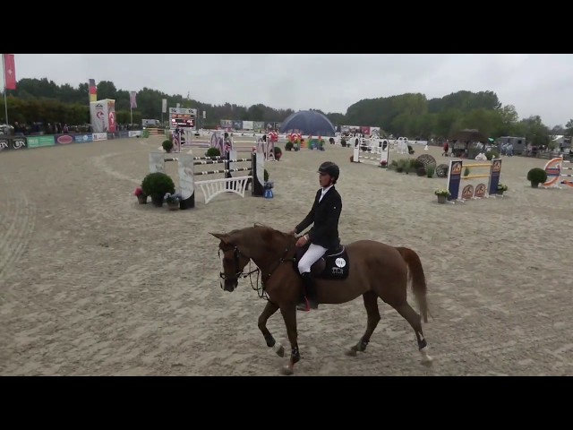 Mother this Implanted Embryo is the CSI 1.60m jumping mare Cacacha van het Schaeck with rider Max Sebrechts.