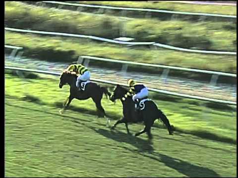 Galoppo 04/07/2015 - 1° corsa