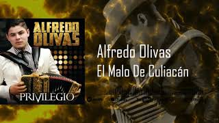Alfredo Olivas - El Malo De Culiacán