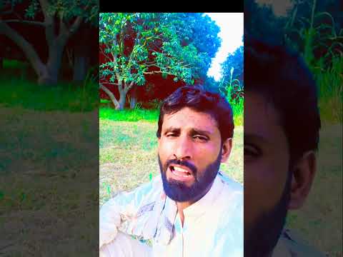 akhiyan ni raatin soan daindiyan || shams saraiki #village #shortsvideo #viralvideo
