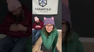 Live at tarantula cribs! Rehousing Arizona Blonde, new enclosure sneak peaks & more