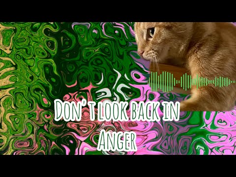 Don't look back in anger Anthony Dean #dontlookbackinanger #oasis