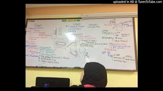 4) Dr. wael salah eye lid disorders 3