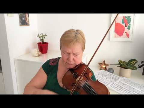 N. Minko - A. Vivaldi concerto amoll part II