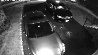 Lawrence in the morning