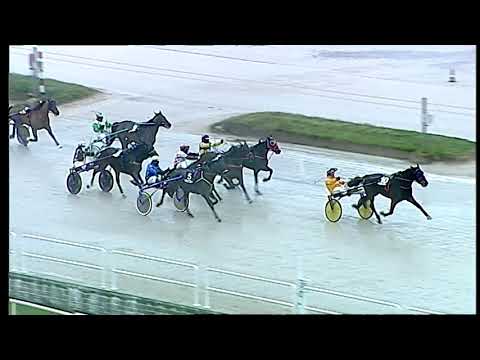 Trotto 15/01/2021 - 5ª corsa