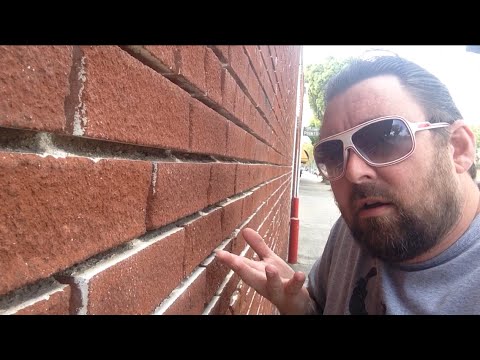 TDW 1356 - Pee-Wee's Big Holiday : Should I See It ?