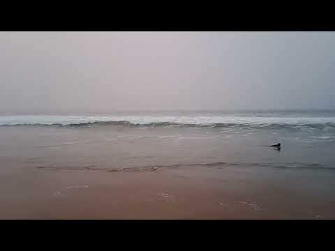 puri beach 🏖️🏖️