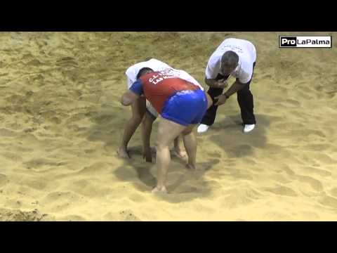 09-04-16  CL  AUARITA TEDOTE - CL  TAMANCA LAS MANCHAS - AGARRADAS DE ANGEL LOZANO Y TOMAS DEL TORO