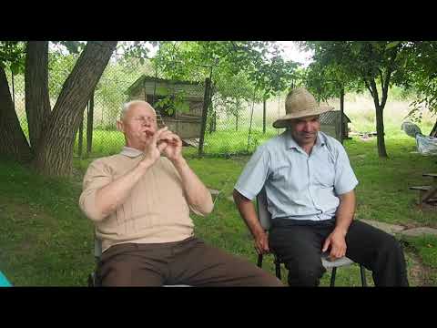 Come my darling letʼs cross the hill – Țara Oașului – Romanian Collection