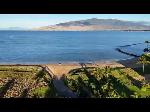 A Serene Morning in Maui, Hawaii 🌴🌅 #Maui #Hawaii #TravelVlog