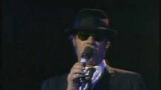 Rubber Biscuit Blues Brothers Video