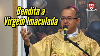 Fundamentos bíblicos do dogma da Imaculada Conceição — Dom José Falcão