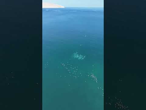 Las costas de mejillones, Antofagasta, Chile. #mejillones #antofagasta #chile #nortedechile