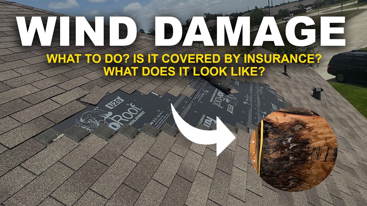 What Does Wind Damage On A Roof Look Like? What To Do?