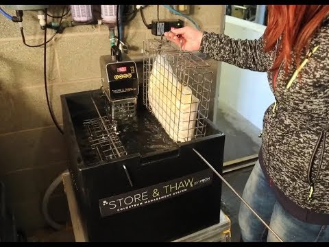 Store and Thaw Colostrum Management – Daviesway Australian Dealer