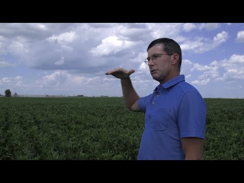 Tariffs bite in Missouri as midterms approach