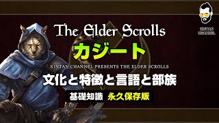 【スカイリムが100倍楽しくなる】種族解説② カジートの文化と特徴【The Elder Scrolls】オブリビオン TES6 TESO