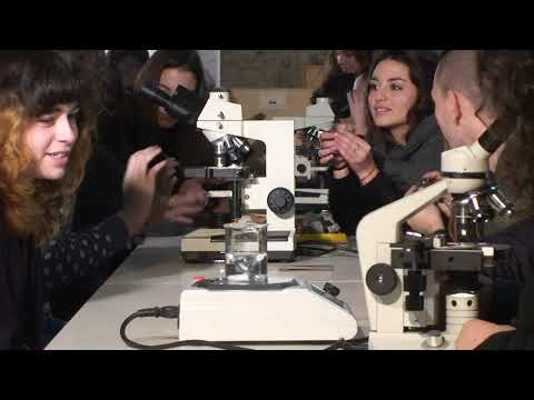 I.I.S  Tropea  Orientamento Alunni as 2018 19