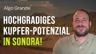 Algo Grande Copper: Hochgradiges Kupferskarn-Projekt Adelita in Mexiko!