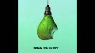 Robyn Hitchcock~ Rarities part 3 ~