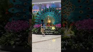 Download lagu Lagu iwan fals aku Sayang kamu mp3