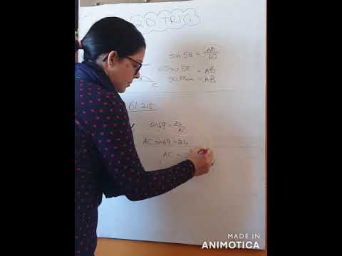 WISKUNDE GRAAD 11: 12 Augustus 2020 - periode 3 (12113)