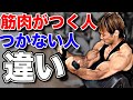 知っているだけで差がつく【筋肉がつく人つかない人】の違い