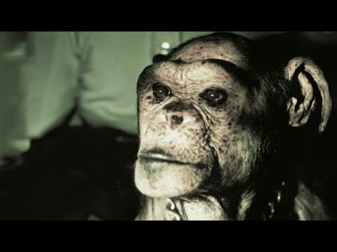 Man or Ape? The Genetic Mystery of Oliver | Our World