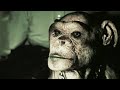 Man Or Ape The Genetic Mystery Of Oliver Our World
