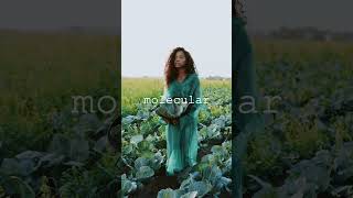 Unraveling the Mysteries of Pine Tree Scent: Exploring the Chemistry of Pinene