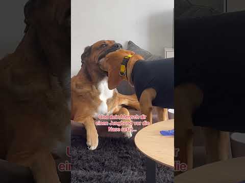 Es war so perfekt…