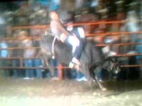 Calibre 50 vs su jinete