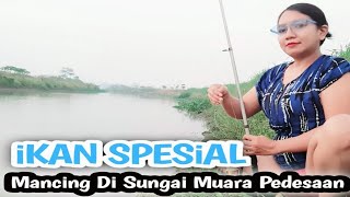 Download lagu Mancing ikan tawar di sungai muara kampung pedesaan yang indah mp3