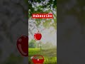 Fruit Catcher Game Unity Game Development Shorts Youtube Gaming Ytshorts Shorts