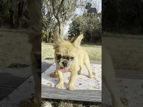 Video 3