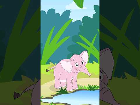 Wer bin ich? Ich bin Elsa, der rosa Elefant! Sing #Kinderlieder #Shorts