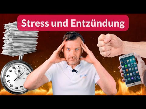 Vom psychischen Stress zur Entzündung: Wie unser Körper auf Belastungen reagiert