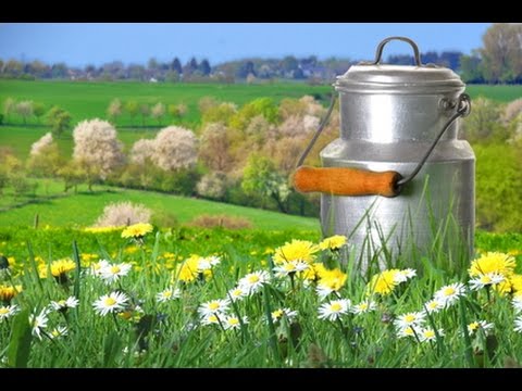 Zusatzstoff-Ersatzstoffe: Entsorgung zu teuer? Aus Molkeabfall wird wieder Milch!