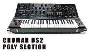 Video thumbnail for Crumar Ds2 Poly Section - No Talk by Riccardo Pietroni