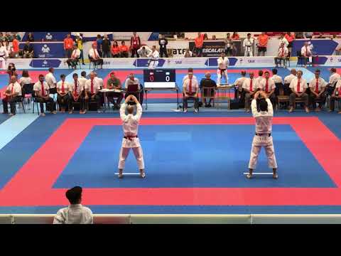 Kanku Dai (DEN) - 13th SKIF WCH 2019 - Denmark - Kata Kanku Dai