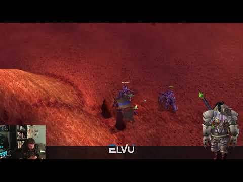 Classic TBC (Whitemane) level boosted by a quad Gladiator Shaman.