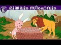 മുയലും സിംഹവും Malayalam Fairy Tales Malayalam Moral Stories For Kids