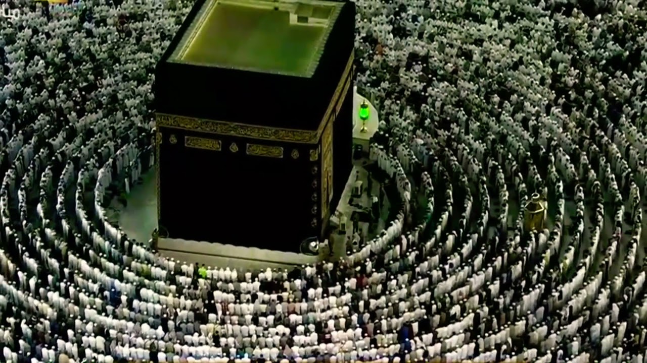 ف ل ا ت ع ج ل ع ل ي ه م