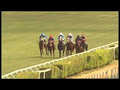 2021.05.23 Premio Alessandro Perrone (ITA) - Royal Ashirah