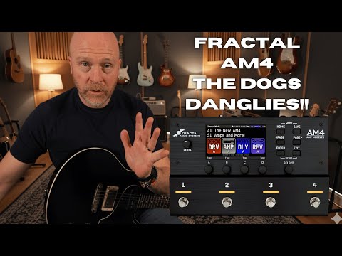 Immagine Fractal Audio AM4 Amp Modeler - 6