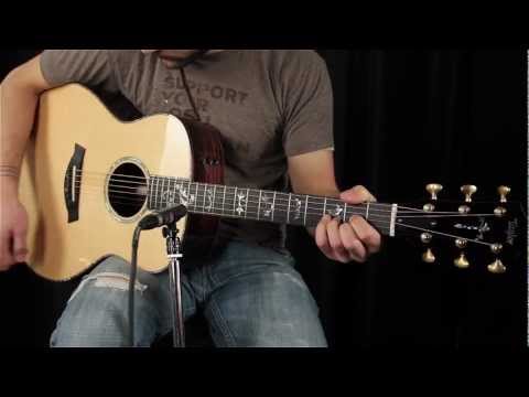 Taylor 918e with ES2 Electronics 2013 - Natural image 13